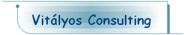 Vit&aacute;lyos Consulting